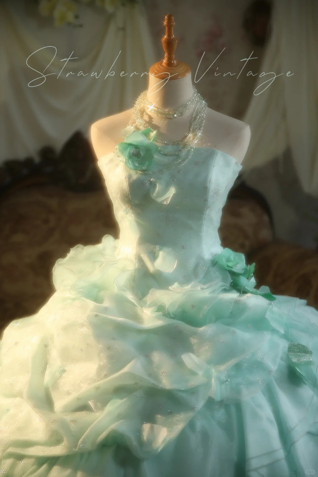 Mint Green Floral Long Tulle Vintage Ball Gown nv5037