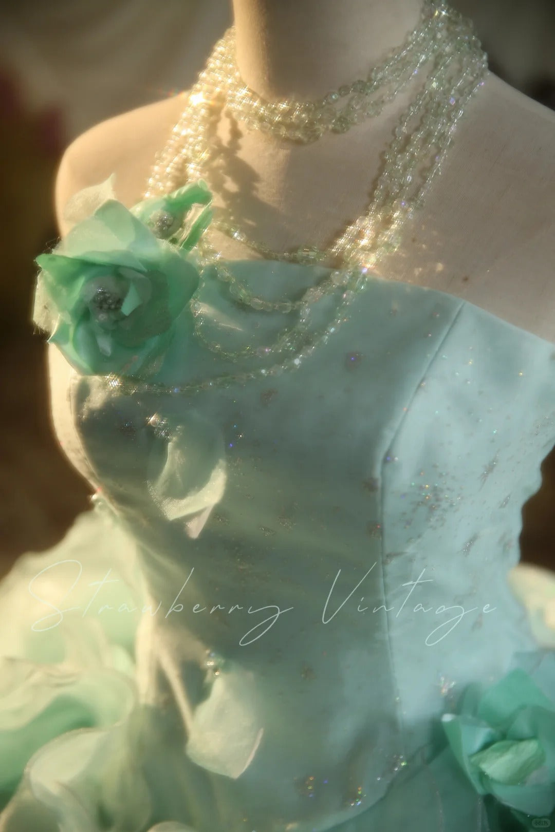 Mint Green Floral Long Tulle Vintage Ball Gown nv5037