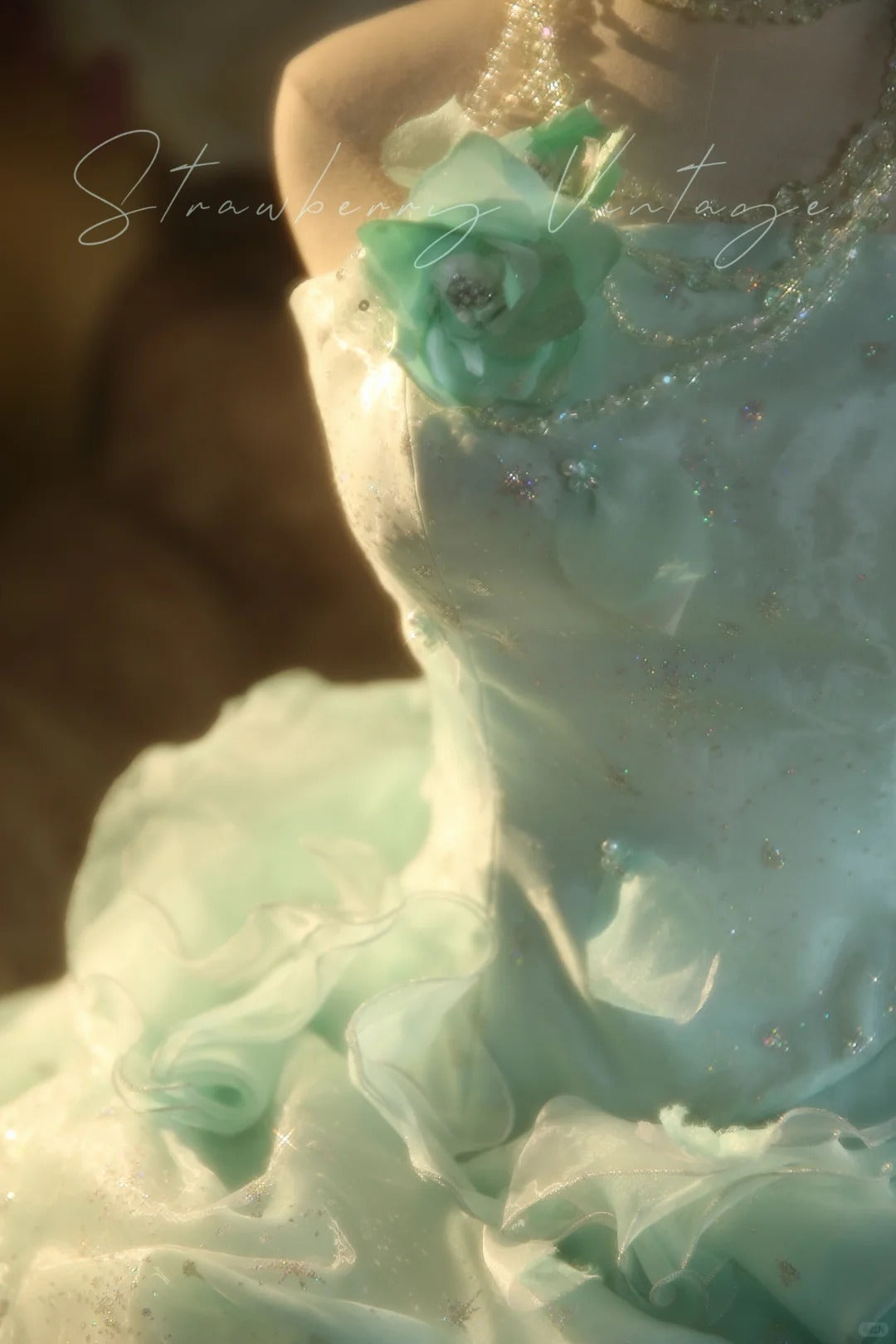Mint Green Floral Long Tulle Vintage Ball Gown nv5037