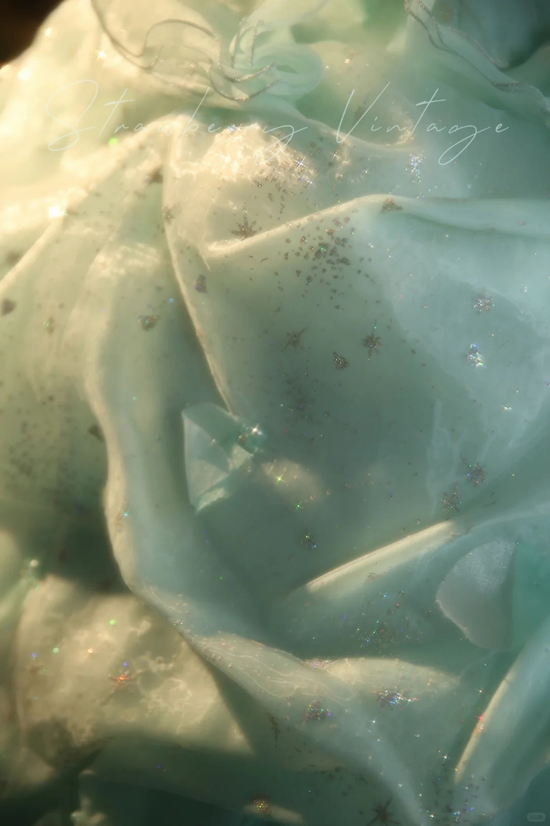 Mint Green Floral Long Tulle Vintage Ball Gown nv5037
