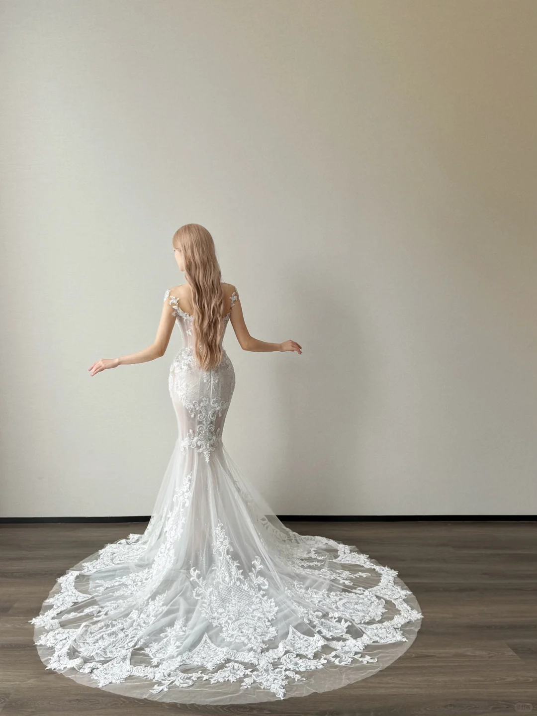 White Sweetheart Sheer Mermaid Wedding Dress Lace Applique Hooded Veil NV7146