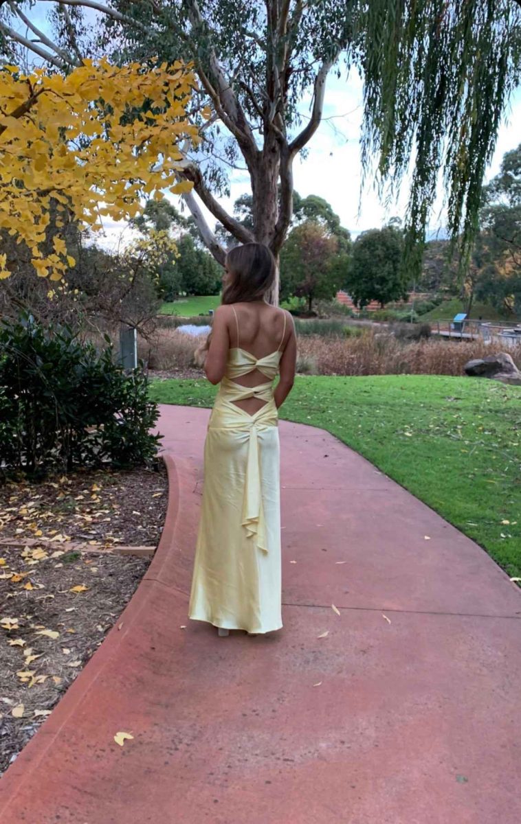 Yellow Fashion Elegant Satin Backless Long Spaghetti Straps Evening Gown Prom Dress nv1667