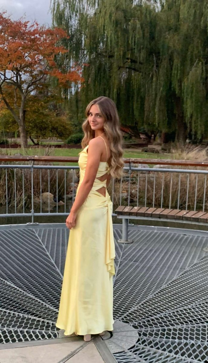 Yellow Fashion Elegant Satin Backless Long Spaghetti Straps Evening Gown Prom Dress nv1667
