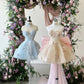 Blue/Pink Beaded Short Tulle Homecoming Dress Party Dress nv4858