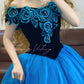 Blue Floral Vintage Elegant Long Princess Tulle Ball Gown nv5026