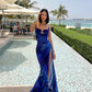 Blue Chic Elegant Long Evening Gown Prom Dress Party Dress nv2248