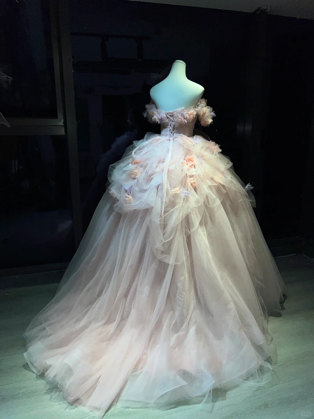 Blush 3D Floral Tulle Long Evening Gown Off The Shoulder Puffy Ball Gown Prom Dress  NV7064