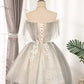 Vintage A-line Off-shoulder Tulle Homecoming Dress Birthday Outfit Prom Dress nv2061