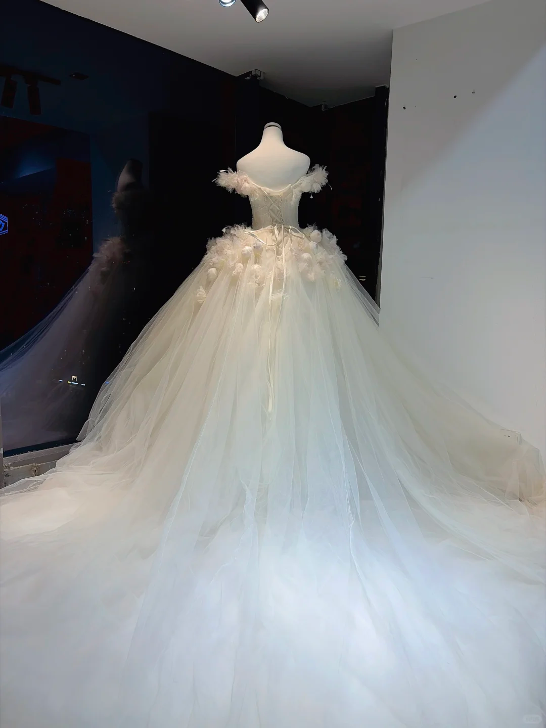 Ivory Off Shoulder Ball Gown 3D Floral Feather Beaded Tulle Wedding Dress  NV6965